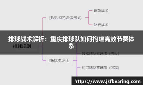 排球战术解析:重庆排球队如何构建高效节奏体系